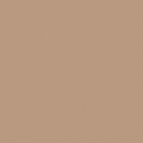 Colour basic Nougat blank 15x15