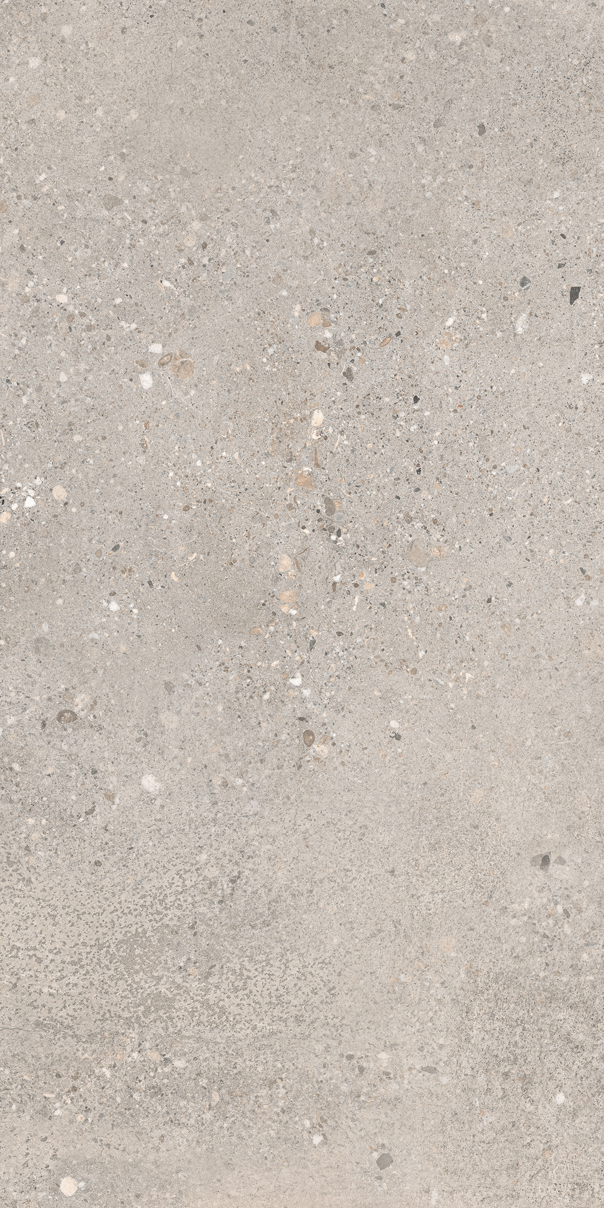 Cortina Grey 30x60 såg