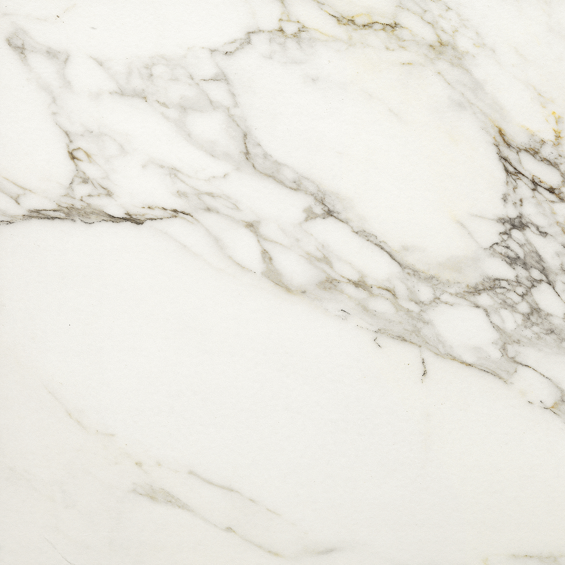 Invite Calacatta gold polerad 60x60 såg