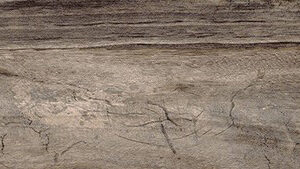 Living Cenere 7,5x45