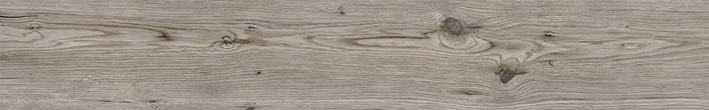 Living Tortora 15x100