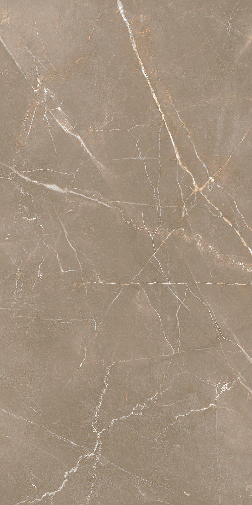 Mojave Earth polerad 60x120 såg