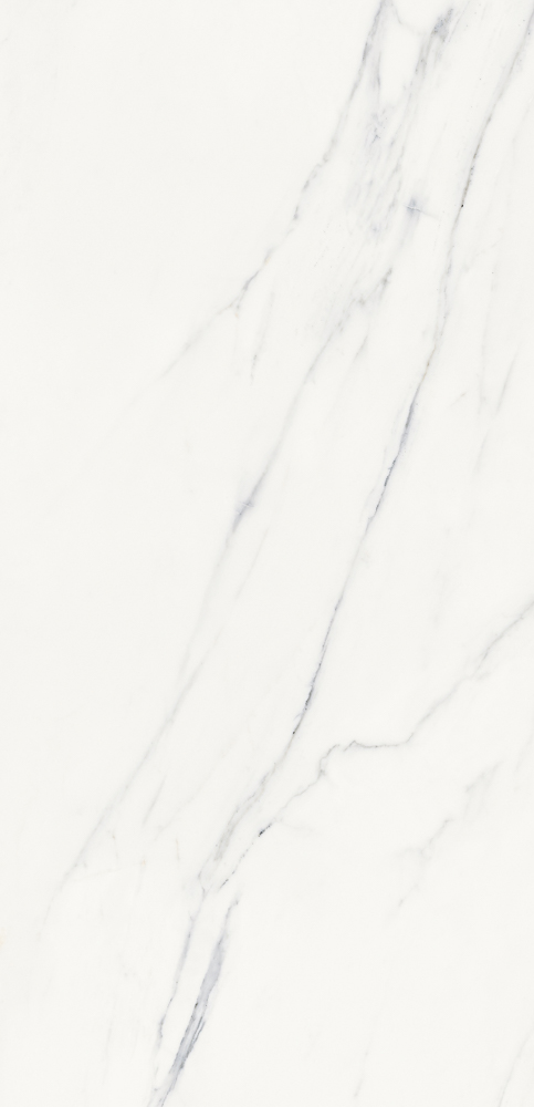 Polar Carrara 60x120 såg