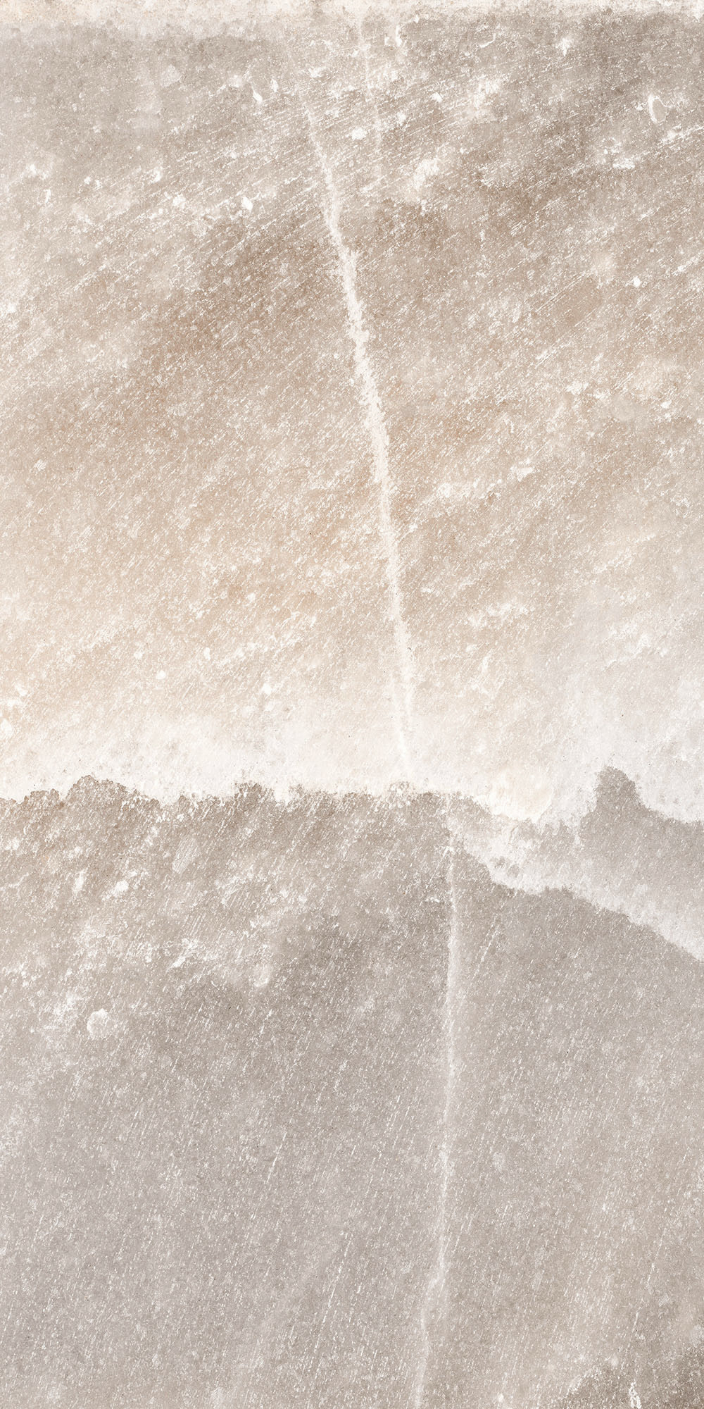 Salt Coral 60x120 såg