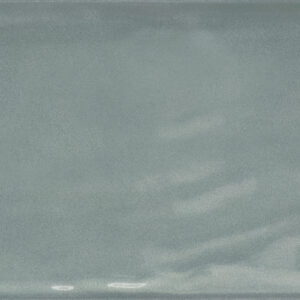 Village Salvia blank 10x30